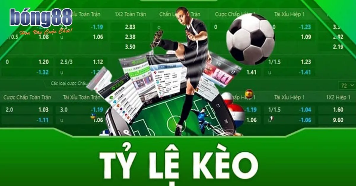Tỷ Lệ Kèo Tài Xỉu - Mẹo Đọc Kèo Tài Xỉu Siêu Chuẩn Giải thích khái niệm tỷ lệ kèo Tài Xỉu