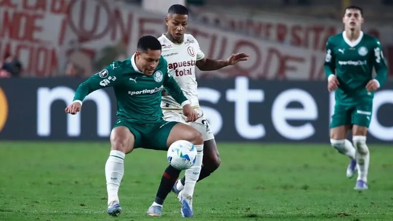 Soi Kèo Bóng Đá - Palmeiras vs Deportes Universitario 22/08/2025 Palmeiras sẽ không để xảy ra bất cứ sai lầm nào trước đối thủ yếu hơn