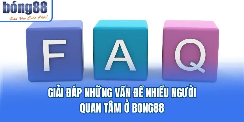 Giải đáp những vấn đề nhiều người quan tâm ở Bong88