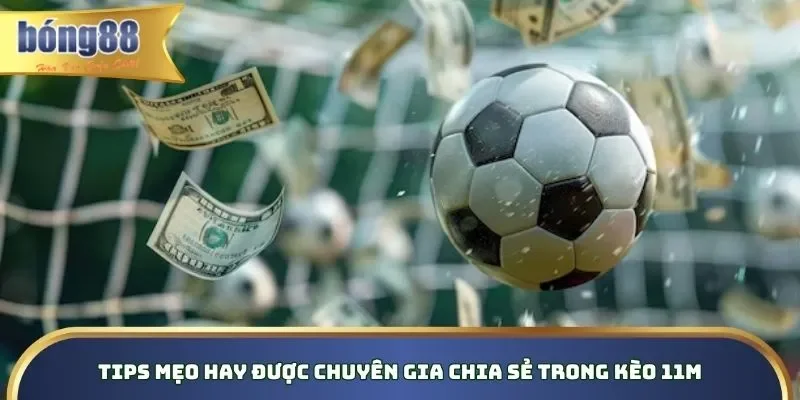 Review chiến thuật bất bại khi tham gia kèo Penalty trên nền tảng